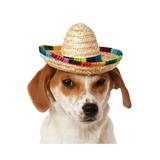 Sombrero For Dogs Pet Costume