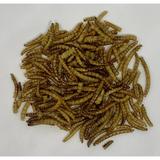 ABDragons Dried Mealworms 1lb