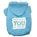 Mirage Pet You Go Fetch Screen Print Pet Hoodies Baby Blue Size XXXL