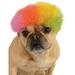 Short 60s 70s Hippie Clown Rainbow Afro For Pet Dog