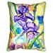 Two Irises Large Indoor/Outdoor Pillow 16x20