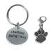 Hidden Hollow Beads Custom Pet Dog and Cat Tags Funny Cute Sayings for Your Pet s Collar. For Pet Lovers. (I Am Busy Being Lazy)