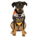 Dog Bandana Pet Costume Accessory This Is My Costume - Medium/Large