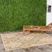 Safavieh Courtyard Jessie Damask Outdoor Indoor/Outdoor Area Rug 2 7 x 5 Brown/Natural