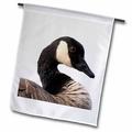 3dRose A Canada Goose (Branta canadensis) bird - NA02 RBR0001 - Rick A. Brown - Garden Flag 12 by 18-inch