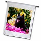 3dRose Schipperke sitting in roses MR - Garden Flag 12 by 18-inch