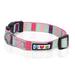 Pawtitas Multicolor Dog Collar XSmall Teal / Purple / Pink