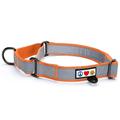 Pawtitas Martingale Dog Collar Puppy Collar Reflective Dog Collar Training Dog Collar Dog Collar Medium Dog Collar Orange Dog Collar