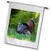 3dRose Eastern Wild Turkey Gobbler Strutting in Field Holmes Co Ms Polyester 1 6 x 1 Garden Flag