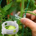 100pc Trellis Tomato Clips Supports Connects Plants Hold Branches Up Clips Vines Trellis Twine Cages Fixed Clips