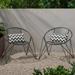 Raiven Outdoor Modern Iron Club Chair Set of 2 Matte Black