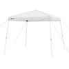 Ozark Trail 10 x 10 Simple Push Slant Leg Canopy (100 Sq. ft.)