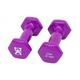 CanDo Vinyl Coated Dumbbells Pair Violet 2 lb 2pc Handheld Weights for Muscle Training and Workouts Color Coded Anti-Roll Home Gym Equipment Beginner and Pro