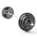 Weider 210 lb. Cast Iron Olympic Hammertone Weight Set