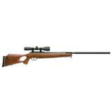 Benjamin Trail NP Extra-Large 7250 .25 Caliber Break Barrel Air Rifle with Scope 725 fps BT725WNP