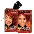 Clairol TEXTURE & TONES Permanent Moisture-Rich Haircolor No Ammonia (w/Sleek Brush) Hair Color Dye Designed for Women of Color (6BV Bronze)
