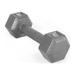 CAP Barbell 8lb Cast Iron Hex Dumbbell Single