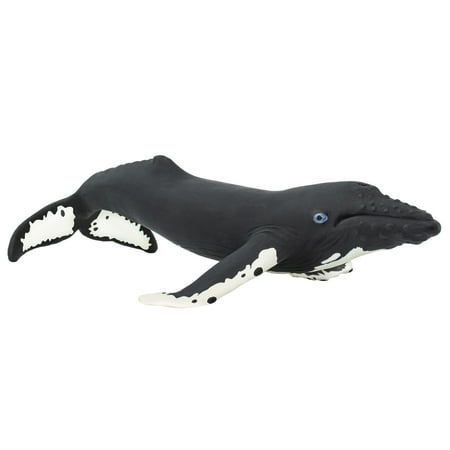 Safari Ltd. Humpback Whale Figurine - Realistic 7 Model Figure - Educational Toy for Boys Girls and Kids Ages 1+
