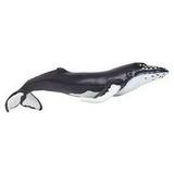 Safari 202029 Humpback Whale Figurine Multi Color