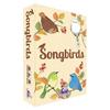 Songbirds Board Game