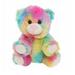 Cuddly Soft 8 inch Stuffed Rainbow Bear...We stuff em...you love em!