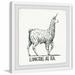 Llamacorns Are Real Framed Painting Print