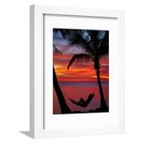 Woman in Hammock and Palm Trees at Sunset Coral Coast Viti Levu Fiji South Pacific Framed Print Wall Art by David Wall Sold by Art.Com