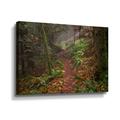 Artwall Forest Stroll Gallery Wrapped Canvas by Tim Oldford