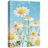 wall26 Canvas Print Wall Art Retro Vintage Faded White Daisies Floral Botanical Photography Realism Chic Scenic Relax/Calm Multicolor Cool for Living Room Bedroom Office - 16 x24