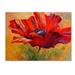 Marion Rose Red Poppy II Canvas Art