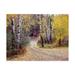 Trademark Fine Art Birch Tree Drive Fence And Road Santa Fe New Mexico Canvas Art by Monte Nagler