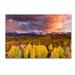 Trademark Fine Art Epic Fall Canvas Art by Dan Ballard