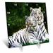 3dRose White Tigers Desk Clock 6 by 6-inch