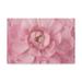 Cora Niele Pink Flower Petals Canvas Art