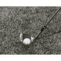 Close-up of a golf club and a golf ball Poster Print (18 x 24)