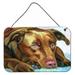 Carolines Treasures 7420DS812 Chocolate Labrador Waiting Wall or Door Hanging Prints 8x12 multicolor