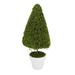 20.5 Green Reindeer Moss Potted Artificial Spring Floral Topiary Tree