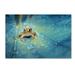 Trademark Fine Art Crystal Guard Canvas Art by Robby Fakhriannur