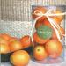 A and B Home 10 Piece Set of Decorative Oranges