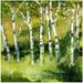 Trademark Fine Art Birch Trees Canvas Art by Michelle Calkins 24x24