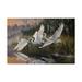 Trademark Fine Art Morning Departure Egrets Canvas Art by Wilhelm Goebel