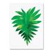 Trademark Fine Art Palm Leaf 1 Canvas Art by Summer Tali Hilty