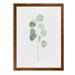 Soft Eucalyptus Branch I-Framed Canvas