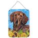 Carolines Treasures SC9072DS1216 Dachshund in Summer Flowers Wall or Door Hanging Prints 12x16 multicolor