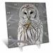 3dRose Barred Owl Desk Clock 6 by 6-inch