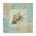 Trademark Fine Art Sea Finds IV Canvas Art by Lisa Audit