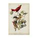 Trademark Fine Art Summer Red Bird Canvas Art by John James Audubon