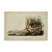 Trademark Fine Art Long Billed Curlew Bird Canvas Art by John James Audubon