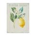 Trademark Fine Art Floursack Lemon I v2 Canvas Art by Danhui Nai