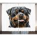 Rottweiler Curtains 2 Panels Set Hand Drawn Image of Dog Type Realistic and Furry Window Drapes for Living Room Bedroom 108 W X 84 L Pale Cinnamon Tan and Dark Chestnut Brown by Ambesonne